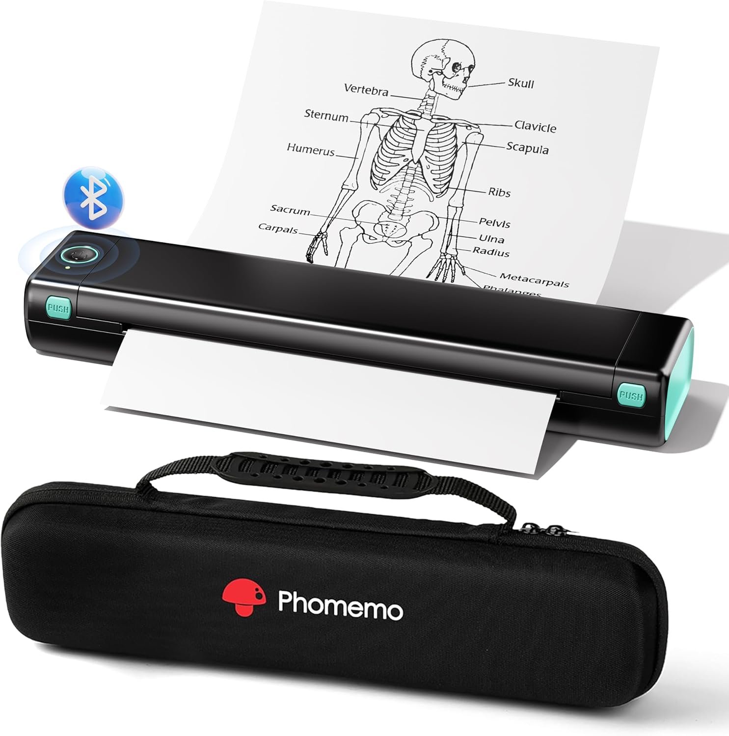 Phomemo Portable Printer Review
