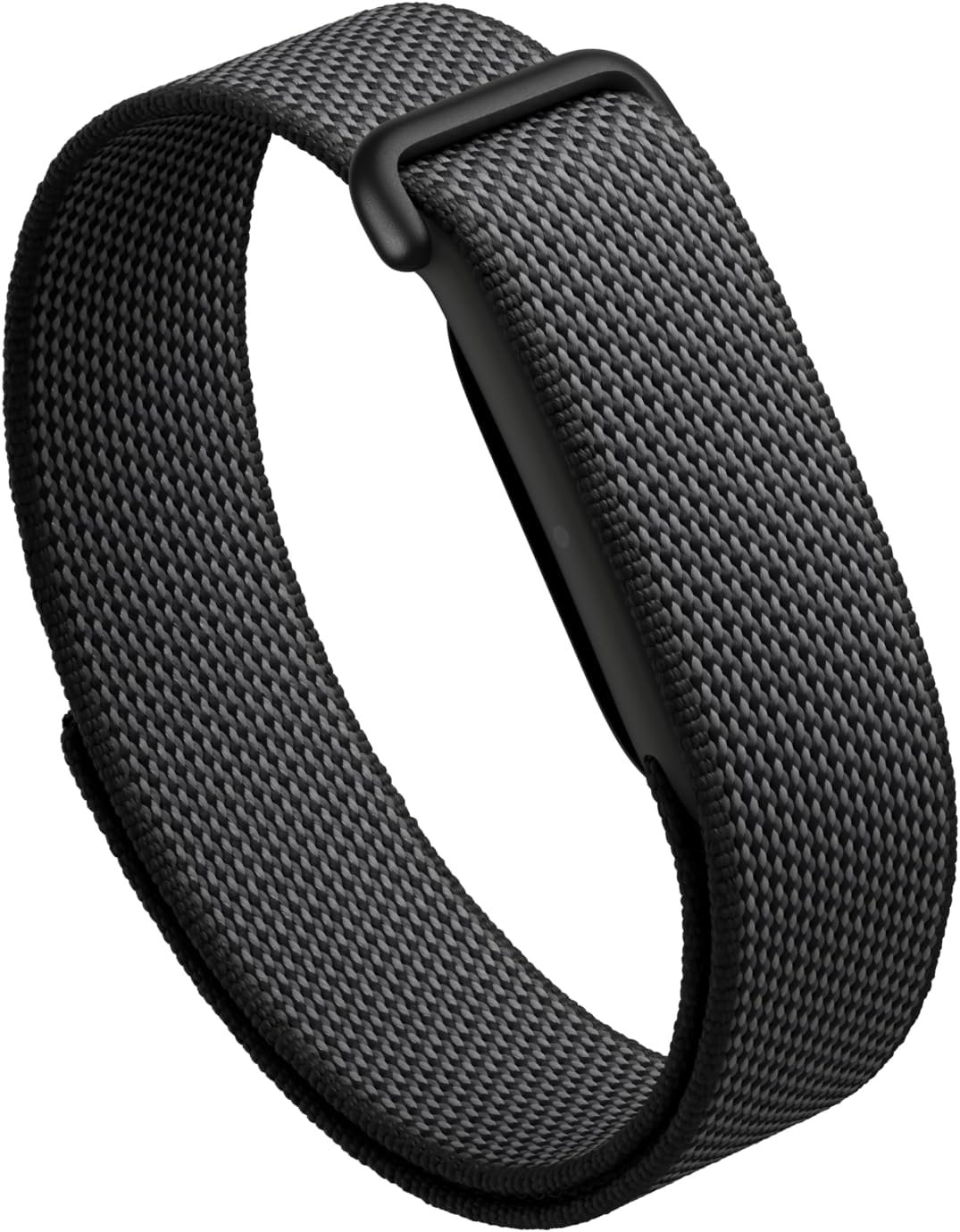 Google Fitbit Air Review